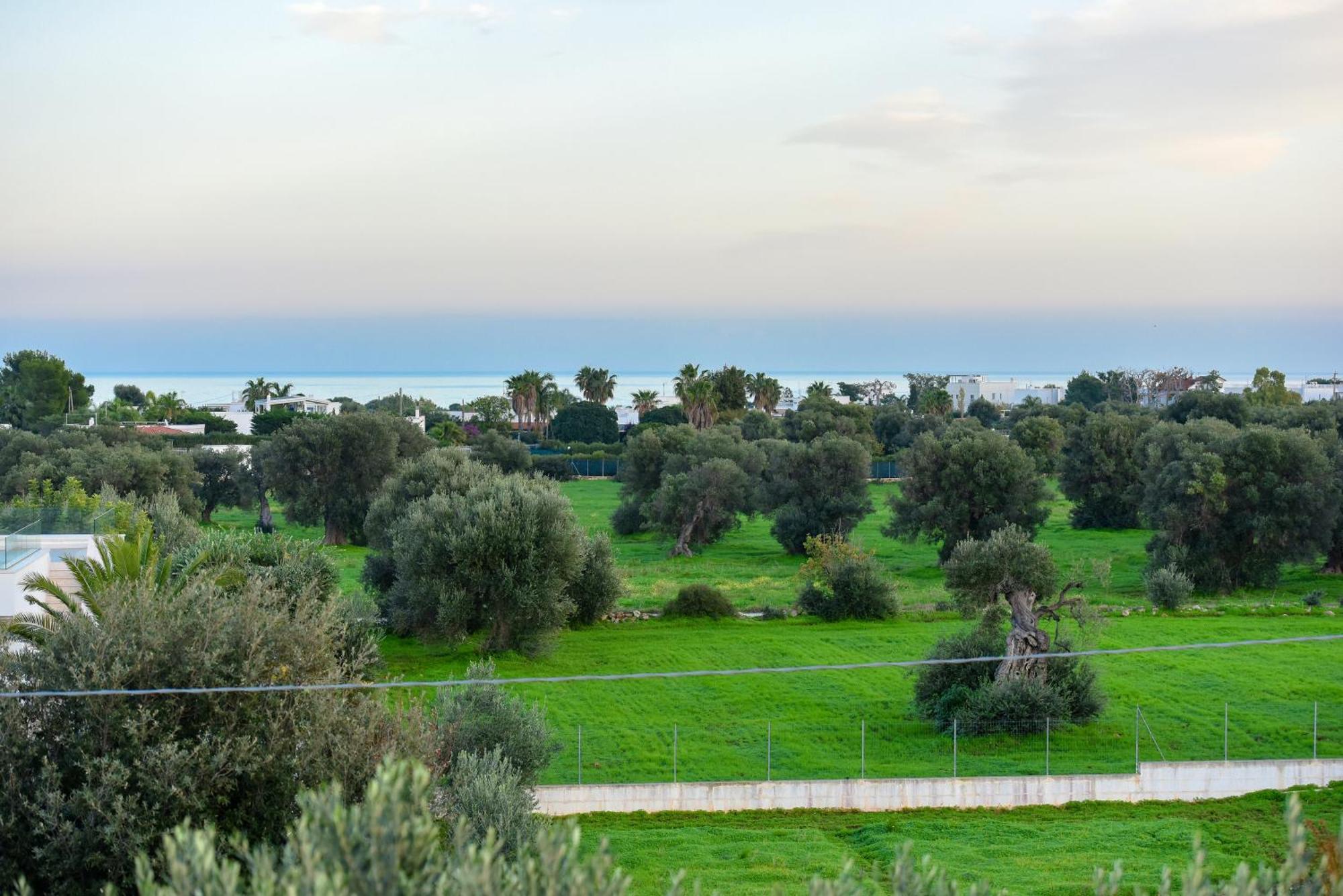 Villa Vinner - Monopoli Exterior foto