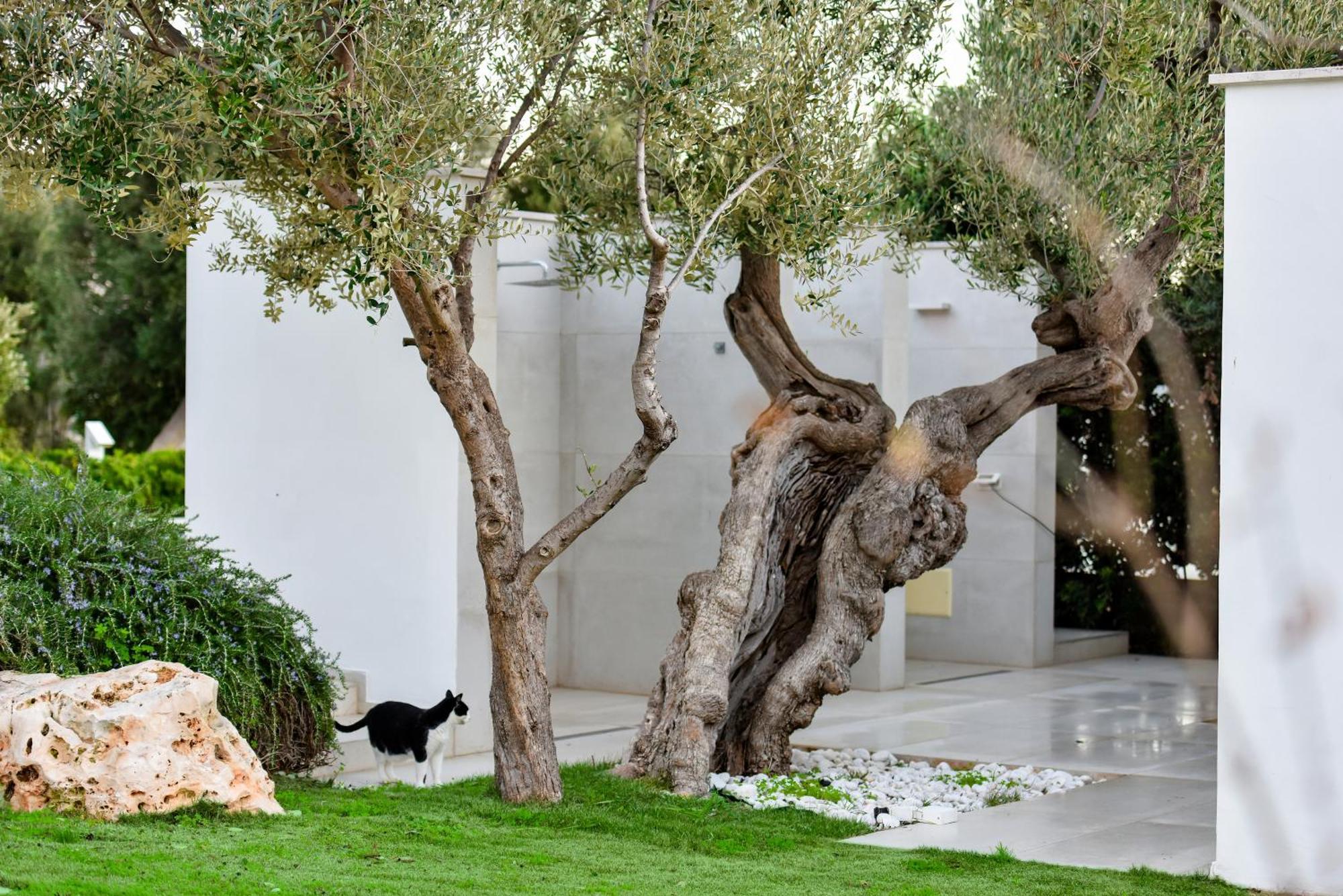 Villa Vinner - Monopoli Exterior foto