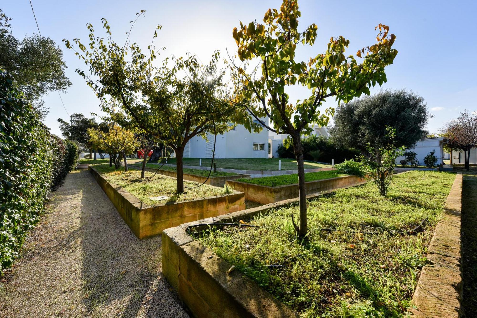 Villa Vinner - Monopoli Exterior foto