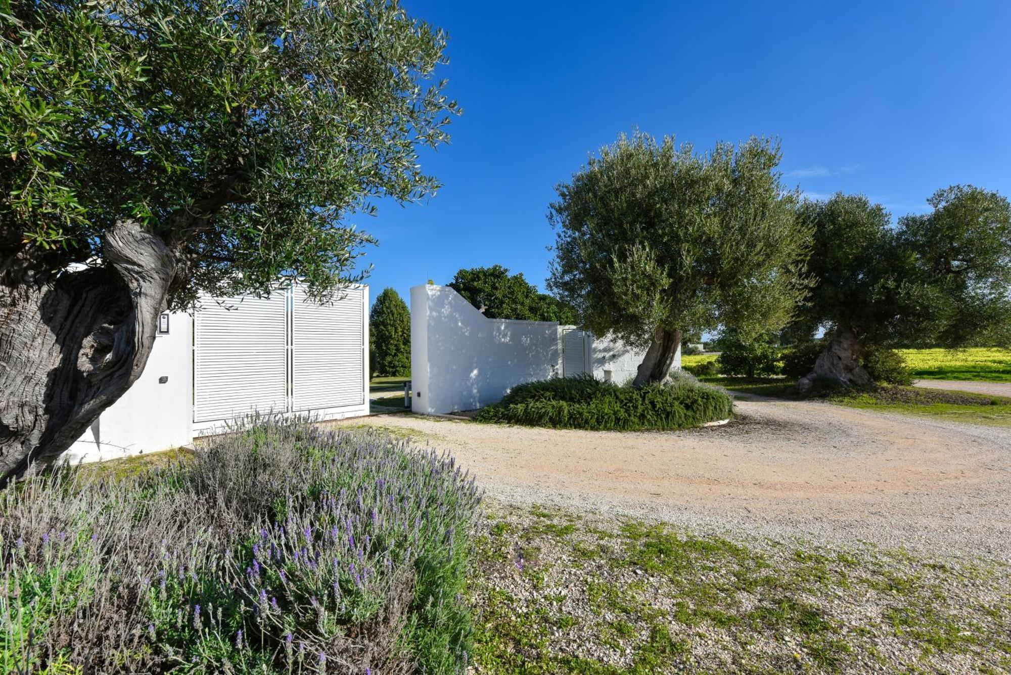 Villa Vinner - Monopoli Exterior foto