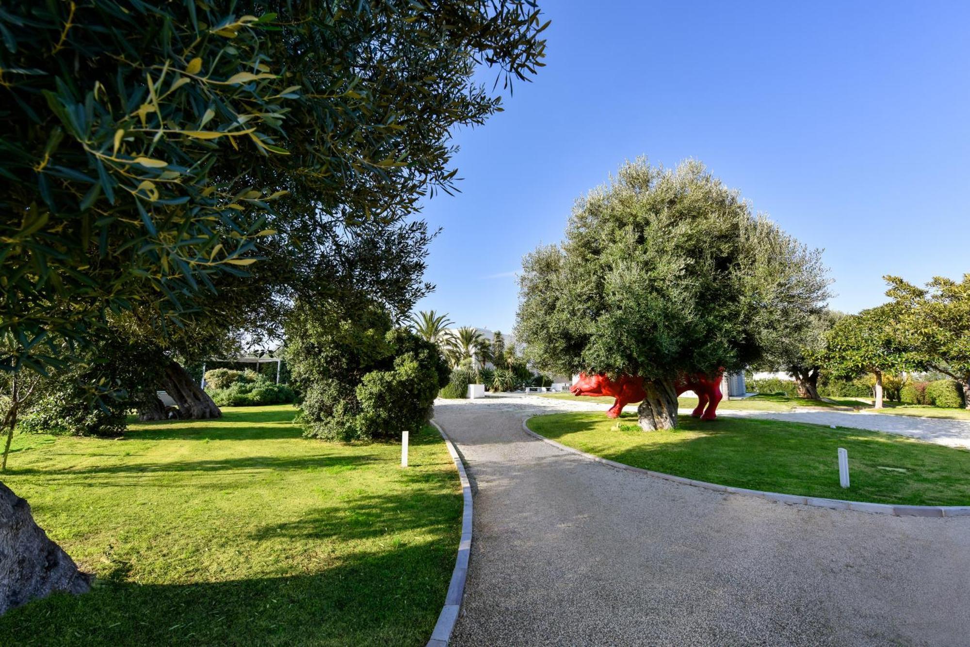 Villa Vinner - Monopoli Exterior foto