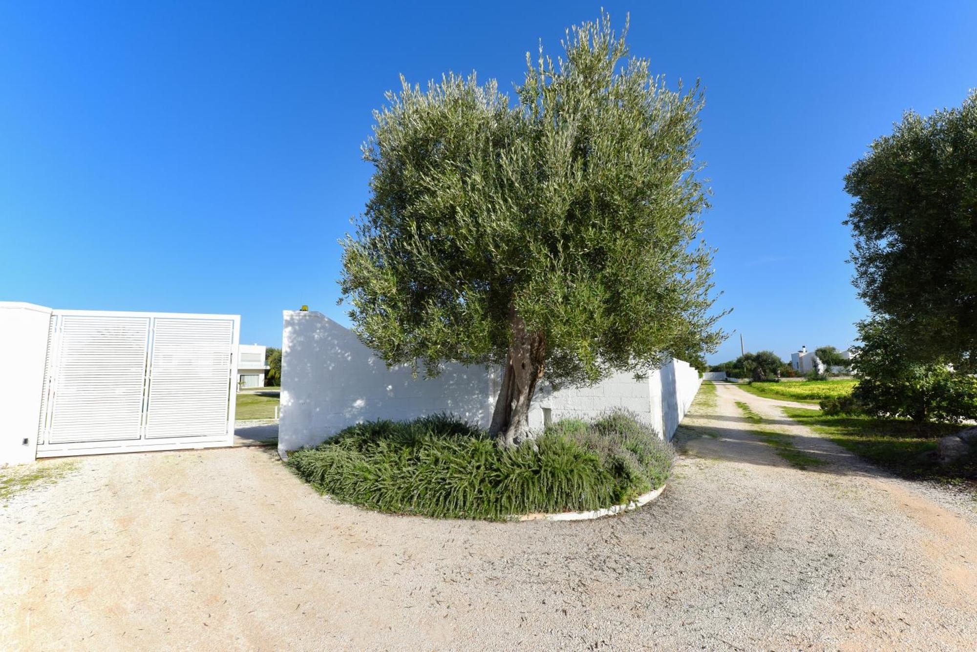 Villa Vinner - Monopoli Exterior foto